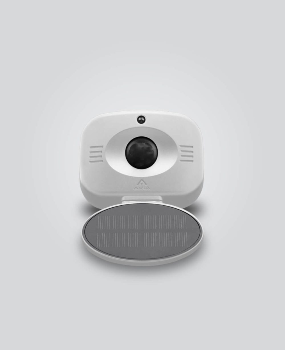 PIR Motion Sensor White